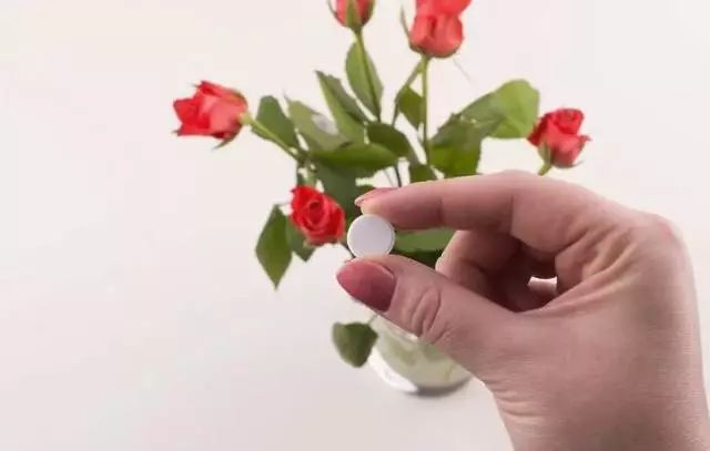 过期药片可以直接放在花盆里吗,过期药片放在花盆里怎么办