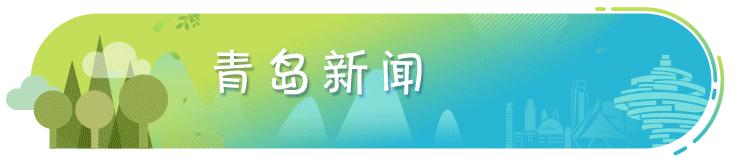 笑蕾黑天鹅蛋糕,笑蕾蛋糕长毛