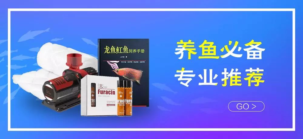 3000块的DIY罗缸，值么？