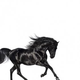 LilNasX——《OldTownRoad》在美国,抖音神曲又一次改变了游戏规则