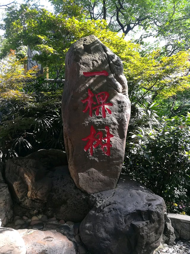 长江三峡重庆游七天六晚,重庆慢节奏旅游攻略