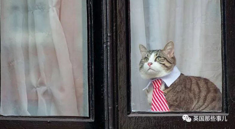 阿桑奇在哪个国家避难,阿桑奇揭秘的最大秘密