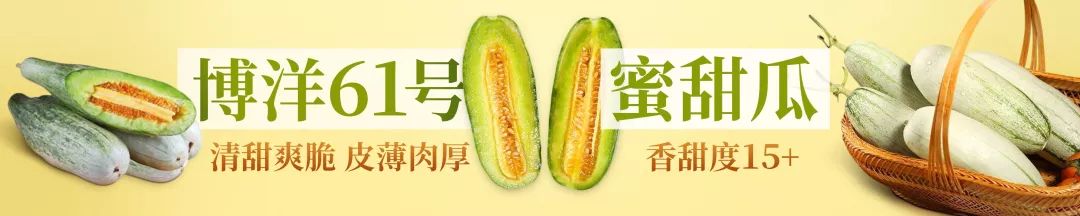 疤痕彻底消失新技术,疤痕淡化修复新技术