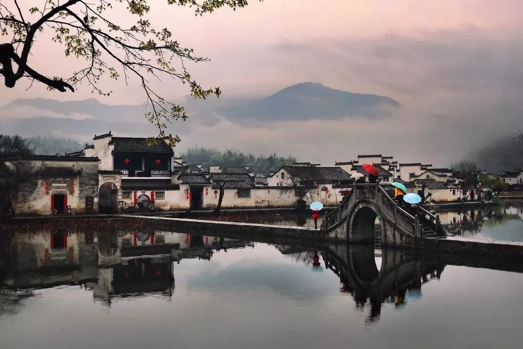 青梅时节的诗词,写梅子的诗句