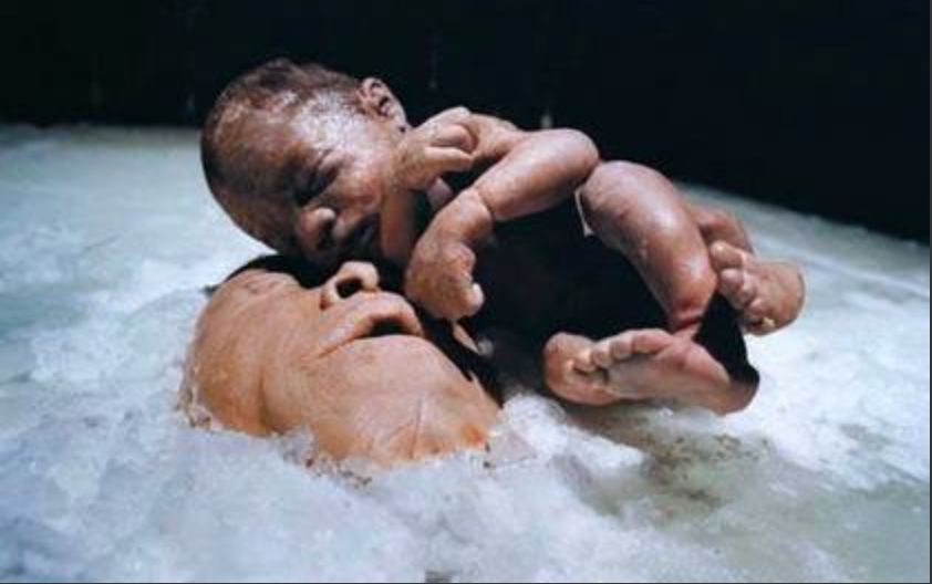 艺术家陈文波,陈文波的作品