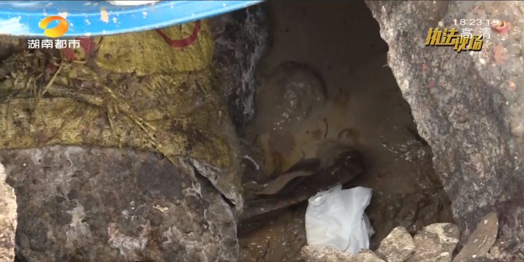 差点上了你的餐桌！长沙高新区取缔一处地沟油窝点，教你几招远离潲水…