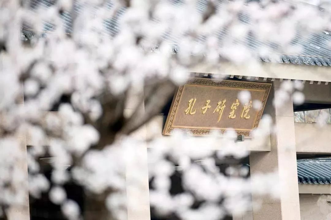 曲阜之行感受儒家文化,曲阜文化之旅感受