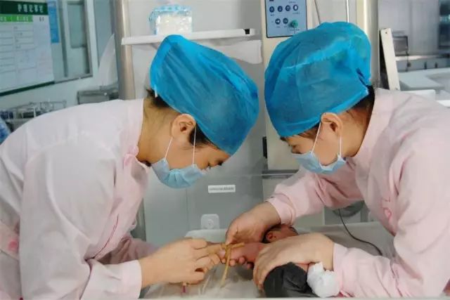 2019年9月份重庆免费活动,2019重庆新打卡地