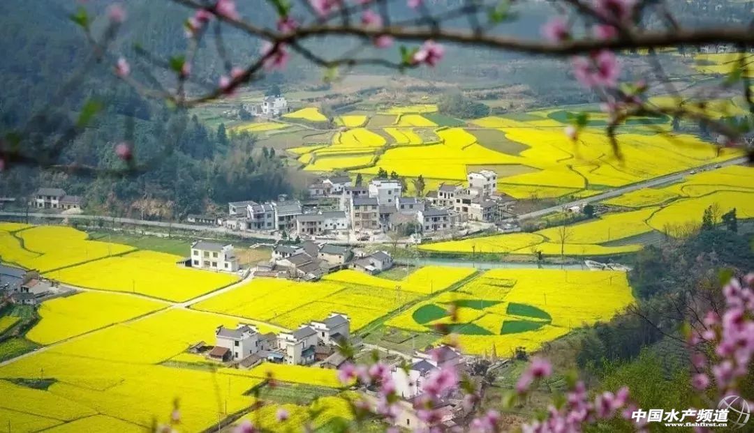 稻虾养殖致富的方法,稻虾养殖致富纪录