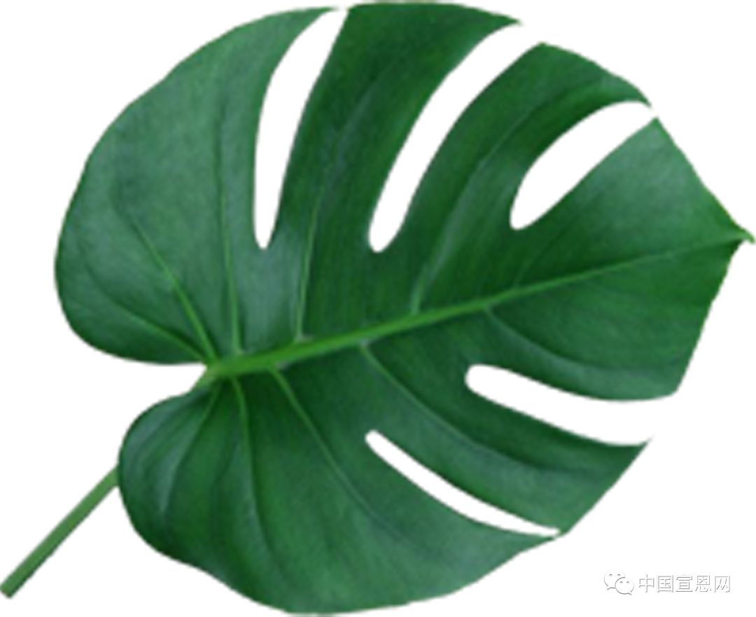 我和我的祖国讲了什么内容,我和我的祖国讲故事稿件