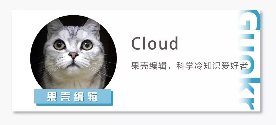 小考拉让人心疼,瘦弱的小考拉