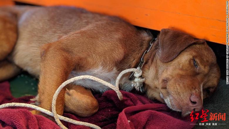 泰国海上救人小伙,泰国落水救人男子被渔民救起