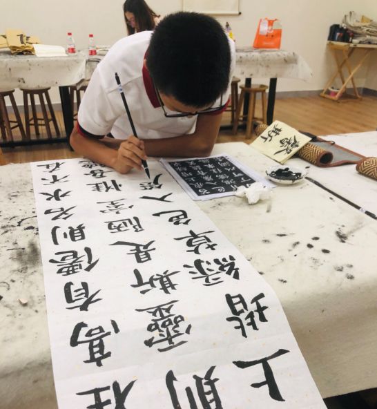 海南有哪些学校招收初中生,海南省有哪些学校招收美术生