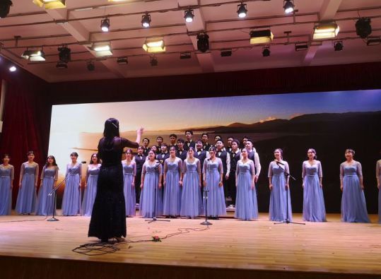 海南有哪些学校招收初中生,海南省有哪些学校招收美术生