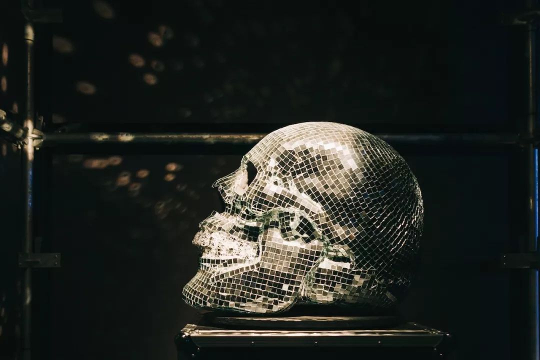 蠢朋克现在怎么样了,蠢朋克最新消息