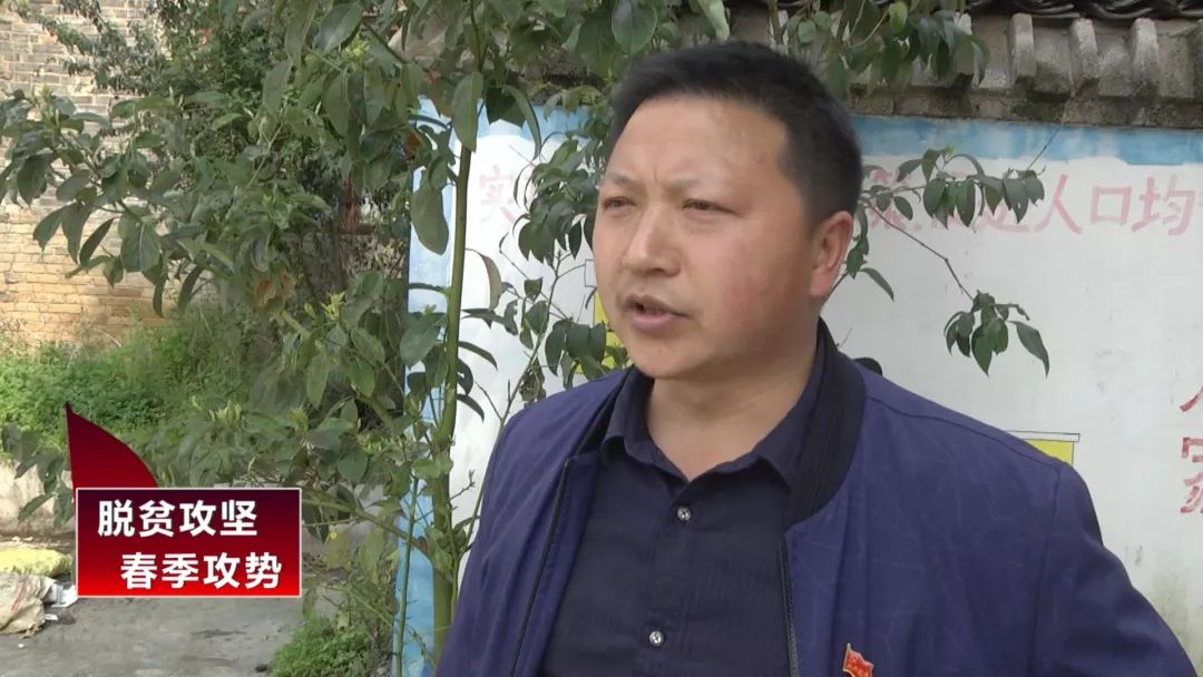 八月瓜，成为一碗水乡村民的增收“致富瓜”