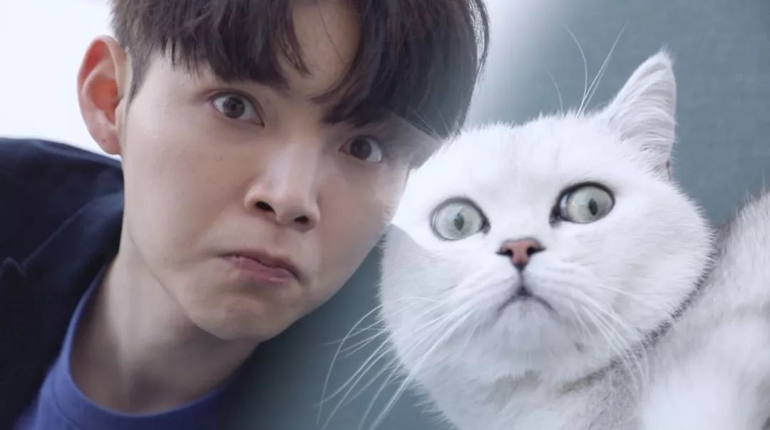 朱星杰，你到底有多少理想型？