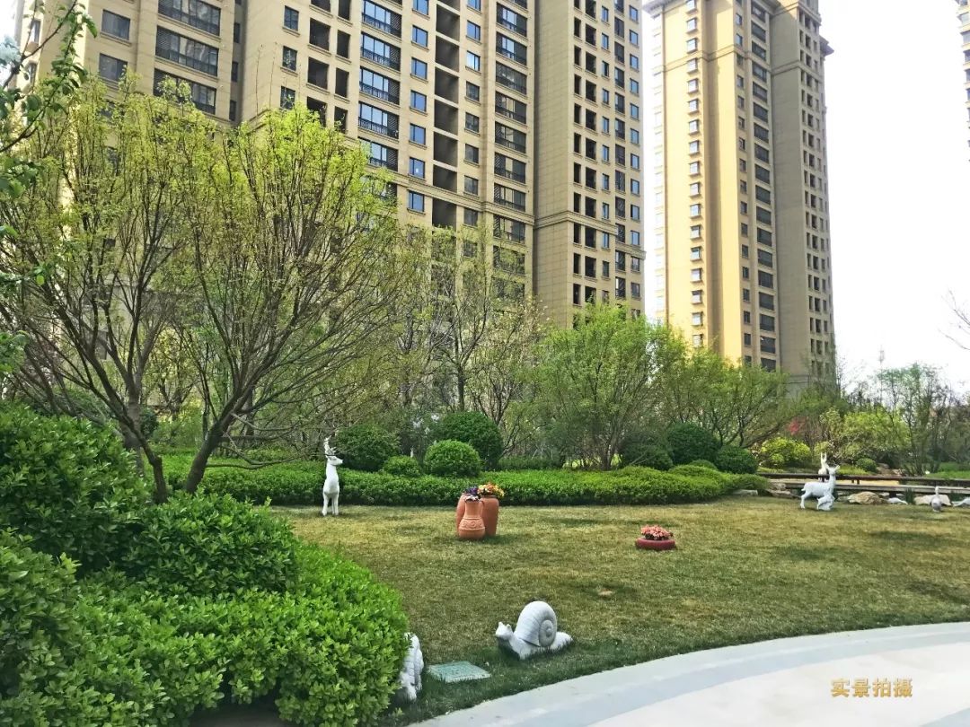 城西新盘首开刚需户型,楼市利好扎堆来袭