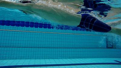 体育考试家长们注意什么,乐清中考体育考试标准