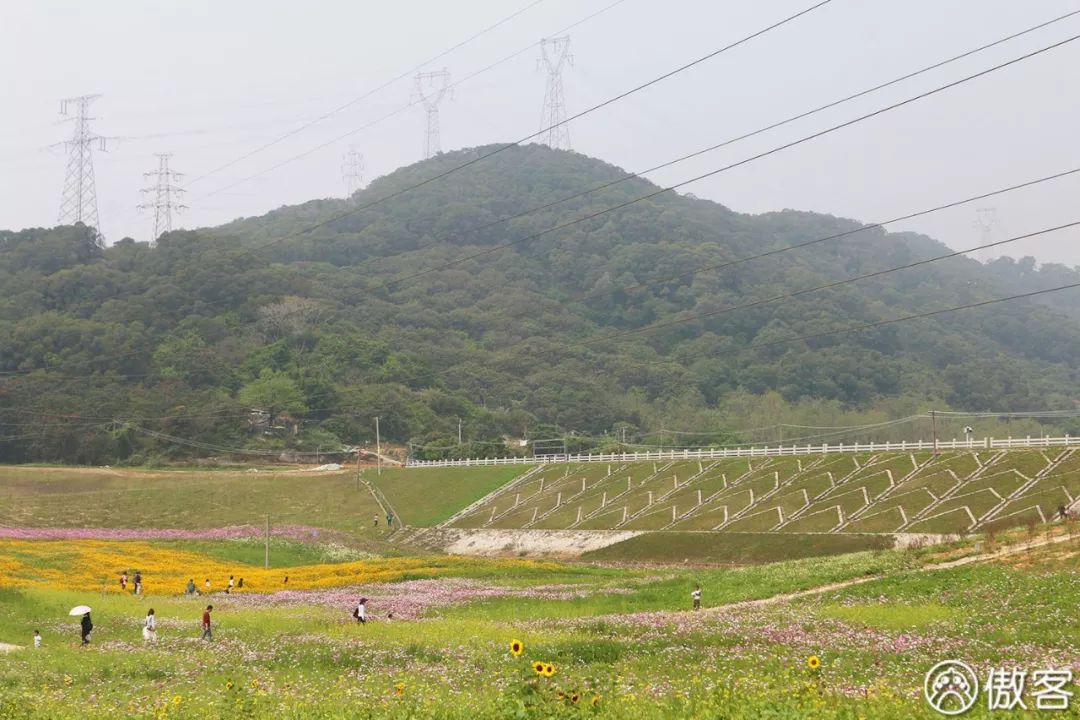 厦门美食探店海沧,厦门海沧特色美食探店