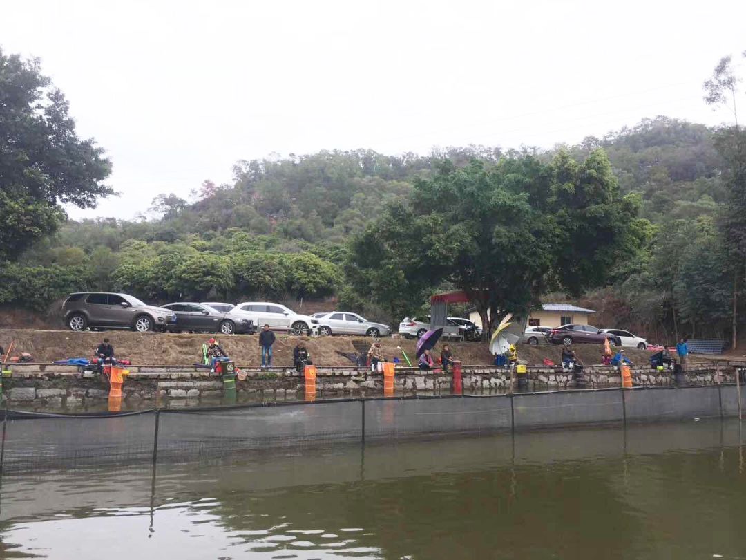 厦门美食探店海沧,厦门海沧特色美食探店