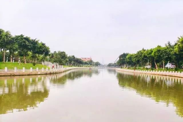 【创文百科】让河道“一键美颜”，番禺钟村有妙招