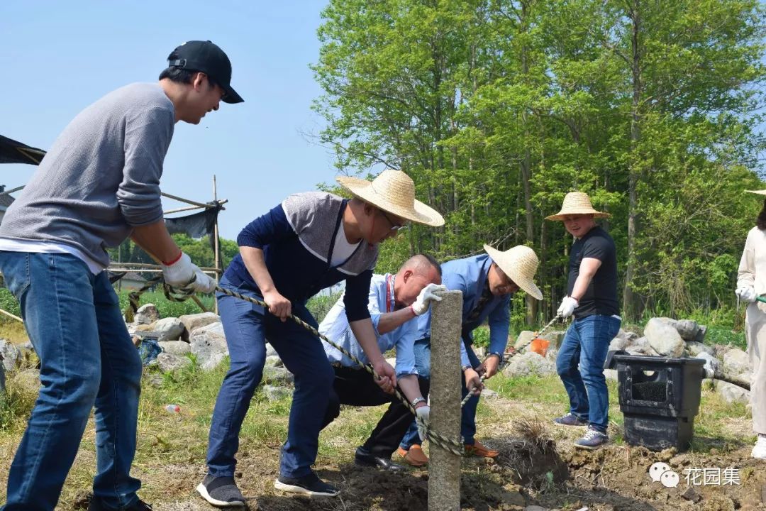 庭院自动喷灌效果图,地埋式喷灌庭院