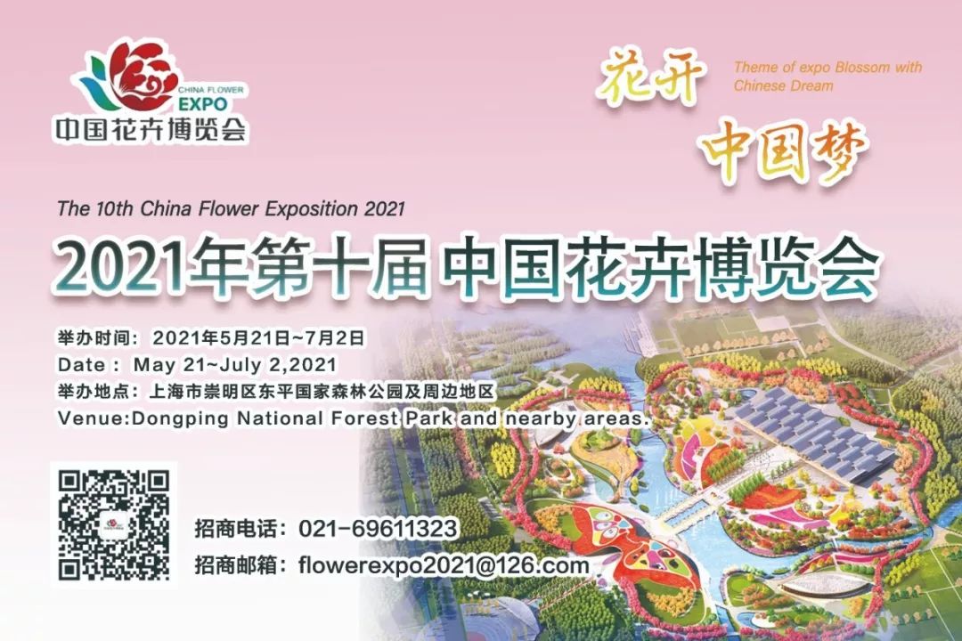 黄色墙壁脏了怎么消除小妙招,白色的墙壁脏了重刷怎么弄