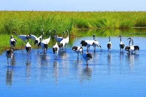 龙江游玩推荐,周末带你游龙江