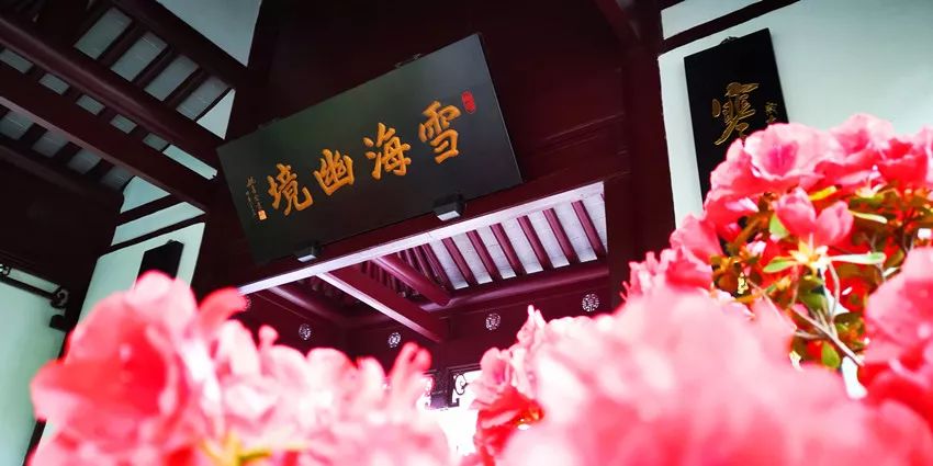 探索上海的特色景点,探索上海旅游景点和美食推荐