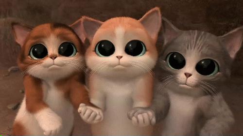 东莞还没考驾照的爽翻！首个全科目一体化考场开建