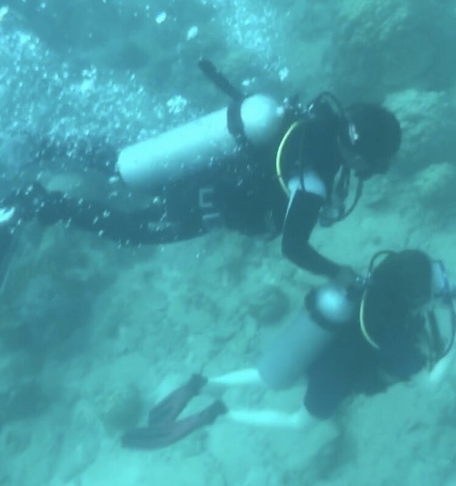 越南越美自由行攻略,越南越美旅游推荐