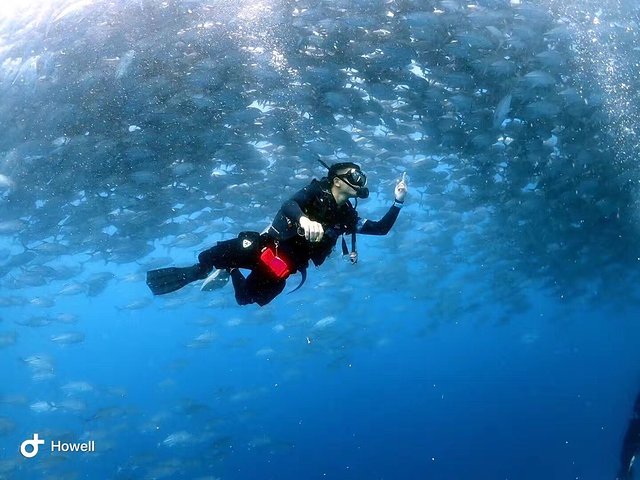 越南越美自由行攻略,越南越美旅游推荐