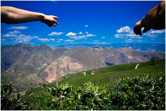 拼多多助力农业脱贫视频,拼多多扶贫行动