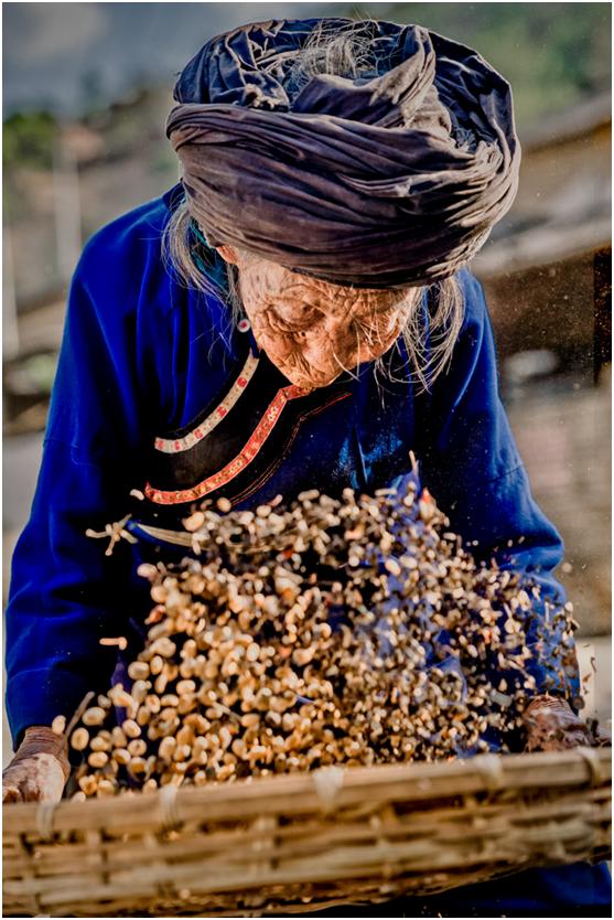拼多多助力农业脱贫视频,拼多多扶贫行动