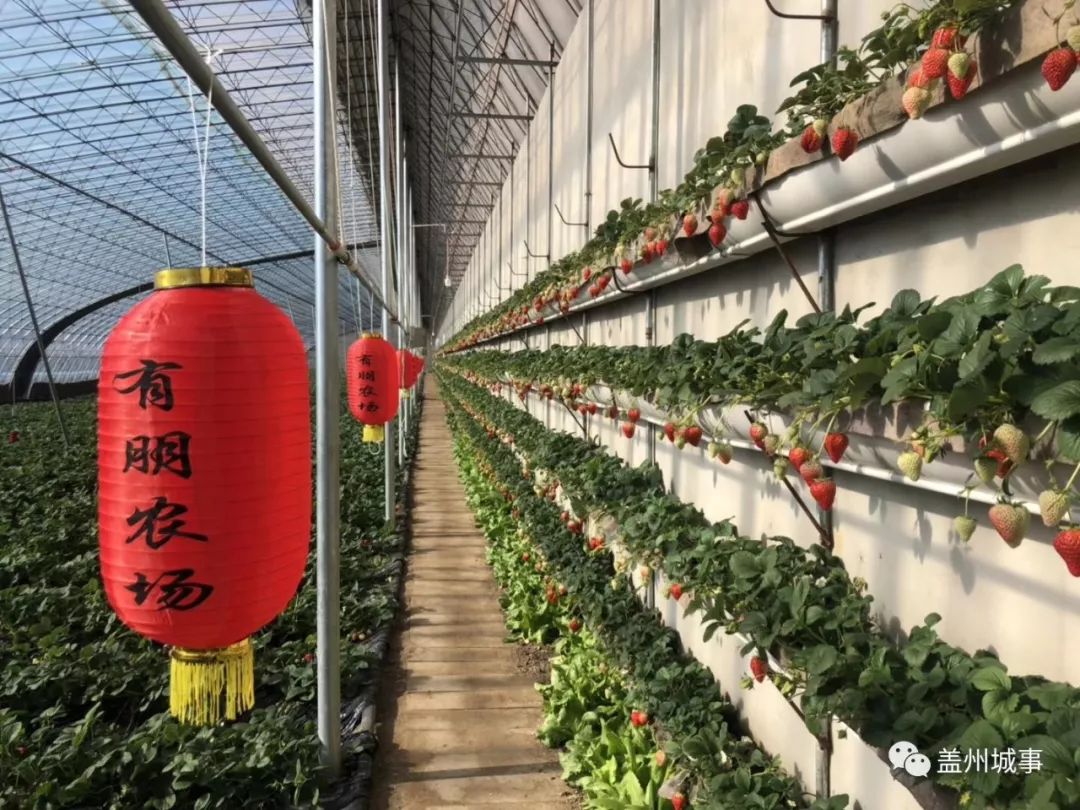 五一盖州游玩攻略带孩子,五一假期旅游安排表