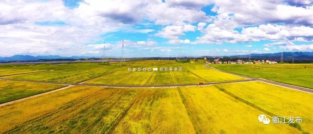 浙江日报头版评价,浙江日报评论拥抱改革