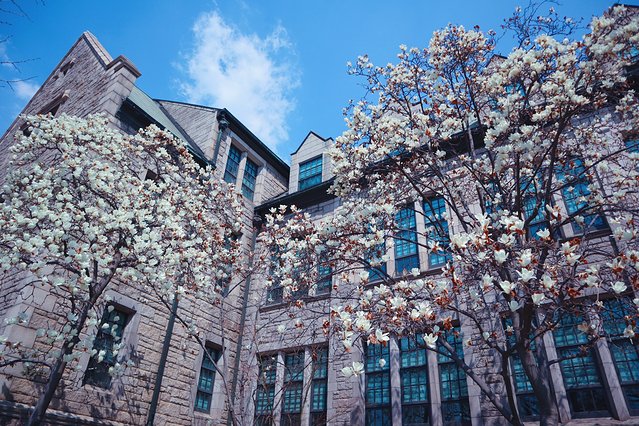 济州冬日的海，首尔春日的花，那些电影里的故事