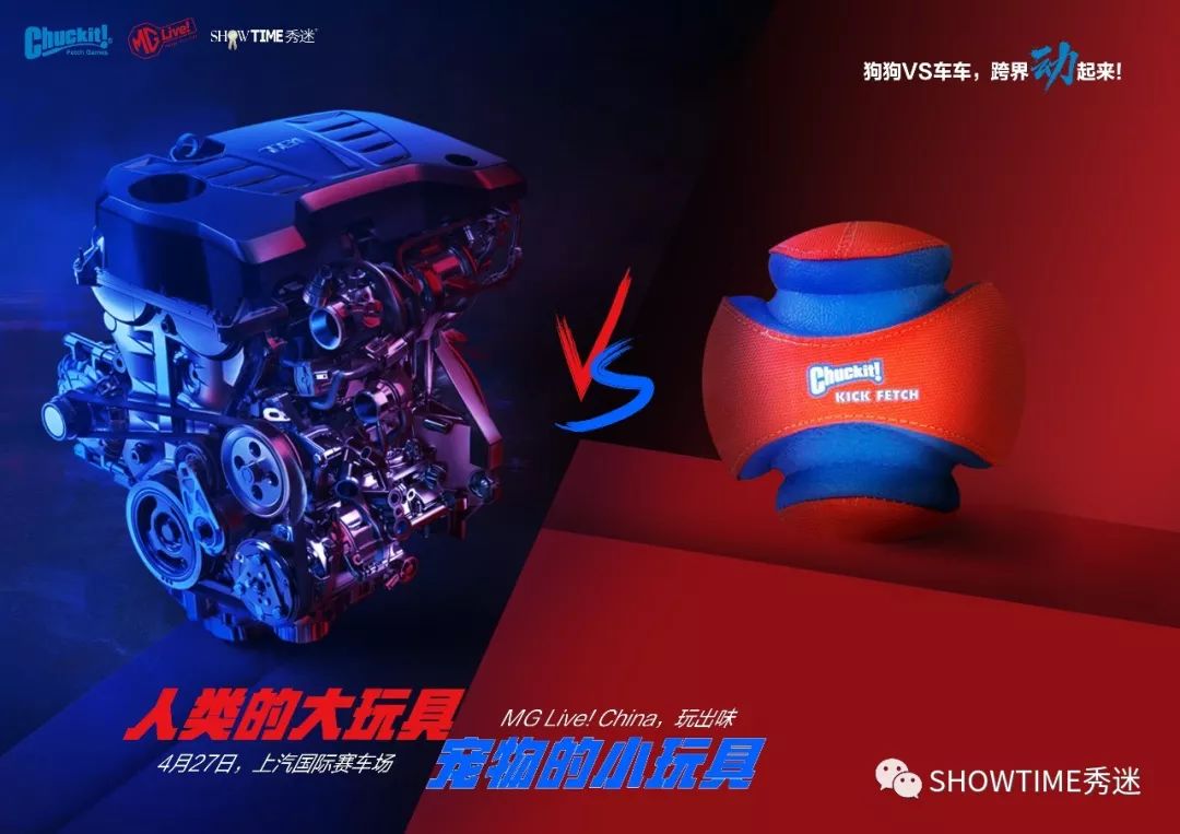 宠圈跨界车圈，带狗去上汽国际赛车场“飙”一下！