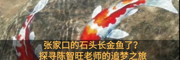 张家口体育局最新消息,全面大爆发