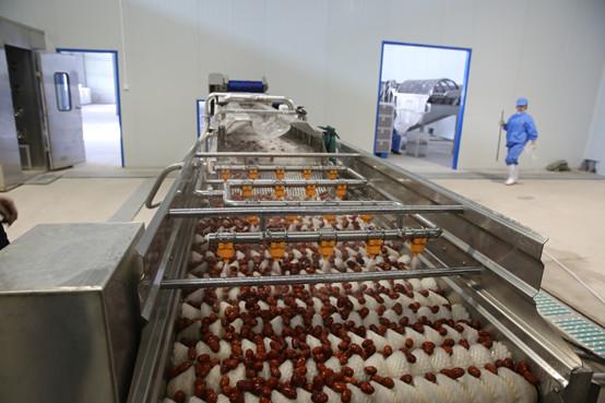 黄李强段淑敏：枣想告诉你|红枣期货上市必知小知识！