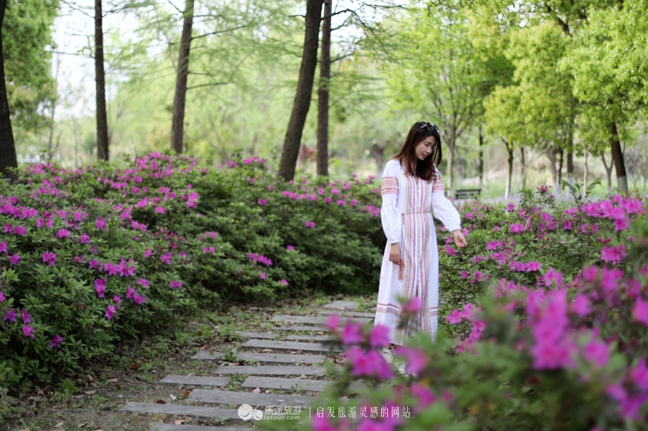 原味江南｜在春日繁花烂漫的沙家浜，等风也等你