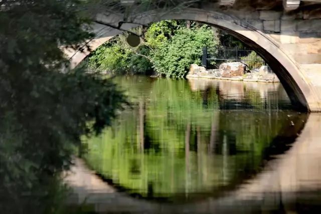申城一日游必去景点,有哪些免费的景区推荐一下