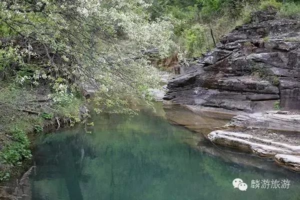 鍏ㄥ煄娌歌吘姹曞ご,鍏ㄥ煄娌歌吘