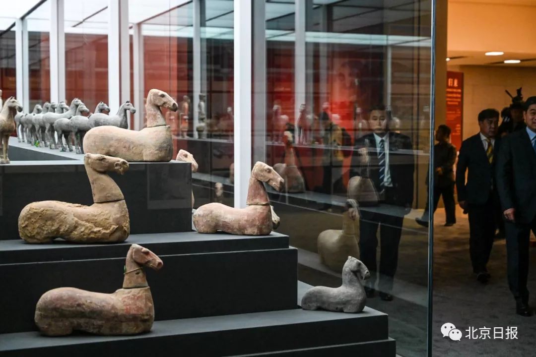 聚焦｜归来！意大利到北京，700余件中国*物文**的回家路走了12年