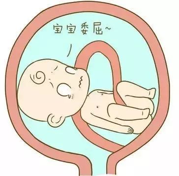 孕妇千万别吃冰箱食物,孕妈妈要警惕冰箱杀手