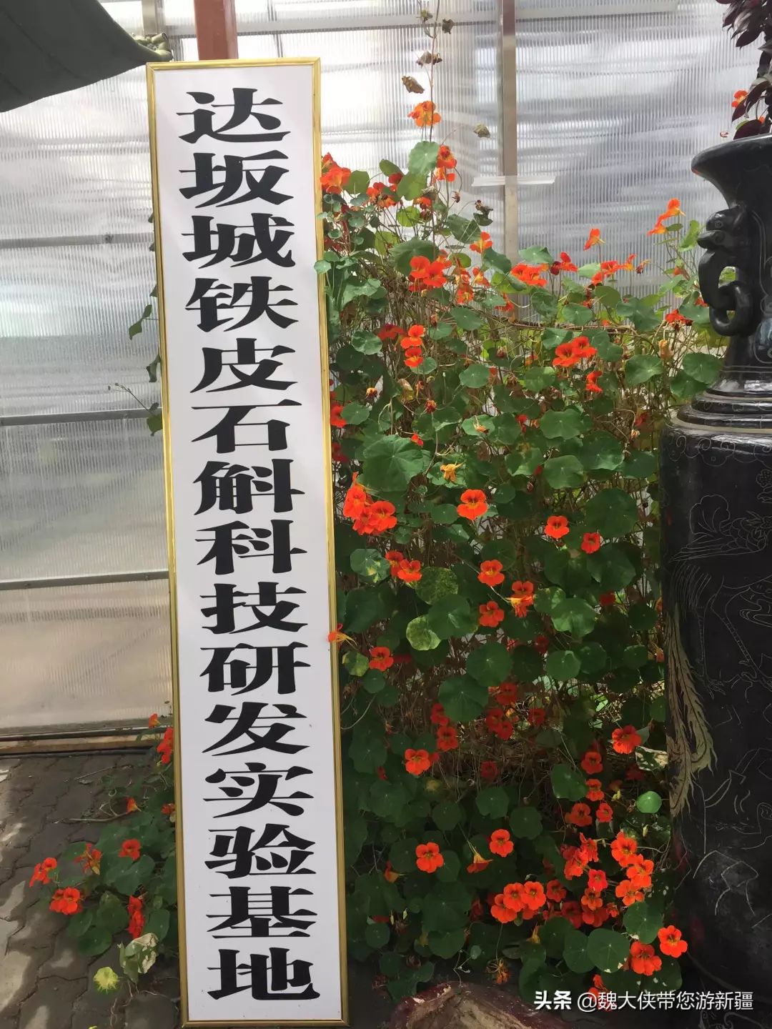 游达坂城视频大全,达坂城古城游览