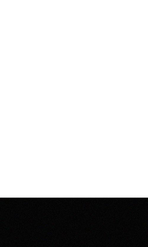 铲屎官如何利用猫毛,给猫剃毛用什么推子比较好