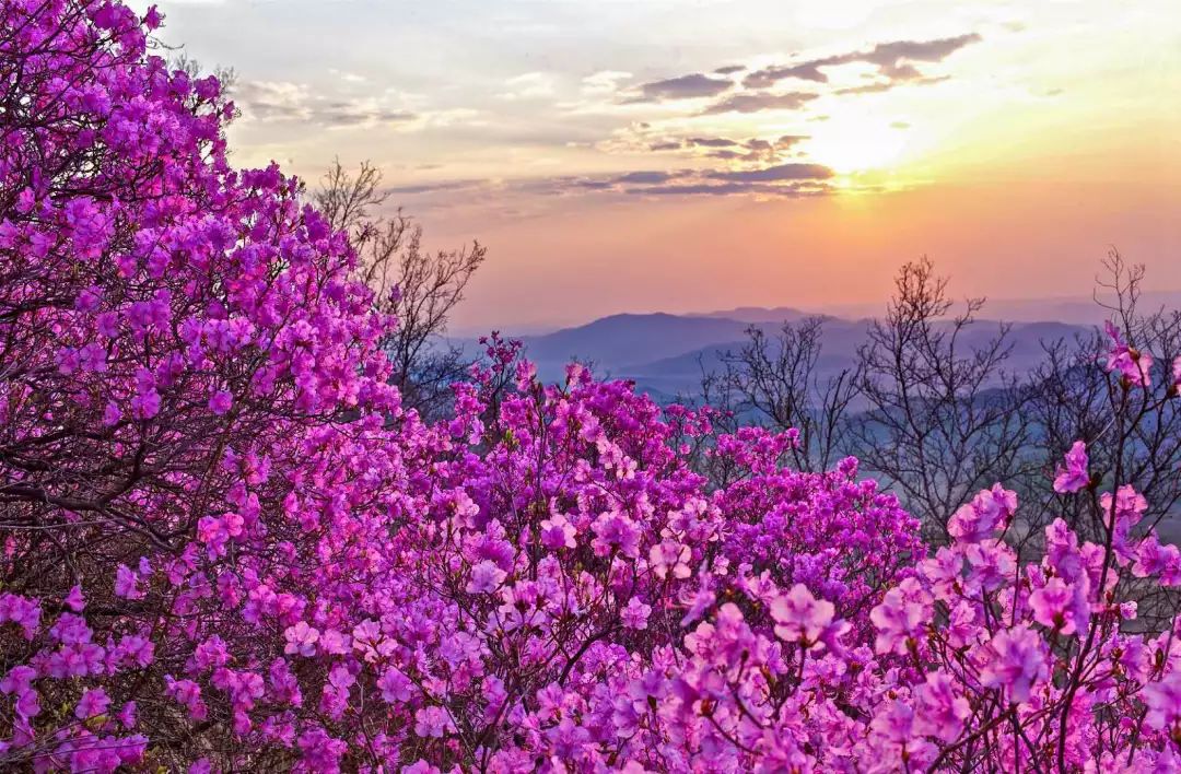 通辽文化旅游季来啦,通辽旅游活动