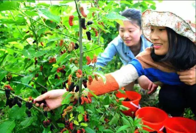 通辽文化旅游季来啦,通辽旅游活动